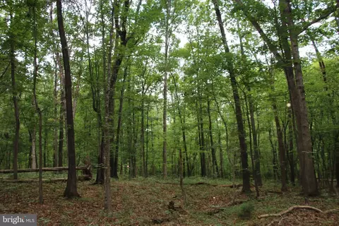 Habron Hollow Road, Fort Valley, VA 22652