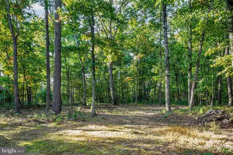 Exterior - 31 Willow Ln, Mount Jackson, VA 22842 photo 9 of 9