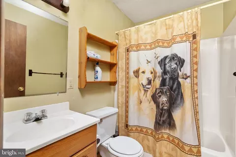 Bath - 31 Willow Ln, Mount Jackson, VA 22842 photo 2 of 2