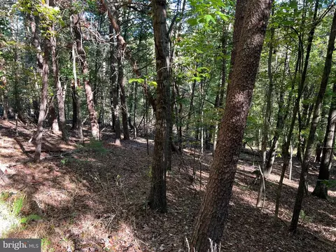 0 Hemlock St, Mount Jackson, VA 22842 photo 2