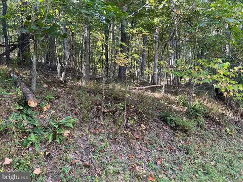 0 Hemlock St, Mount Jackson, VA 22842 photo 3