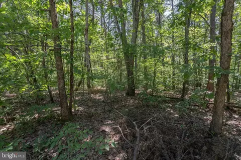 Greenwood Drive, Spotsylvania, VA 22553