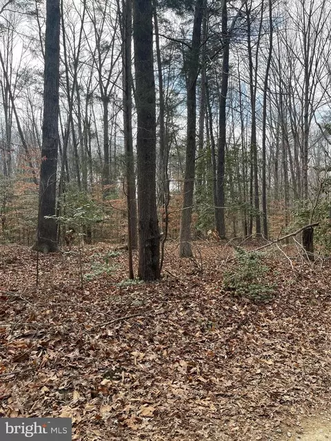 6317 Little Acres Ln, Woodford, VA 22580