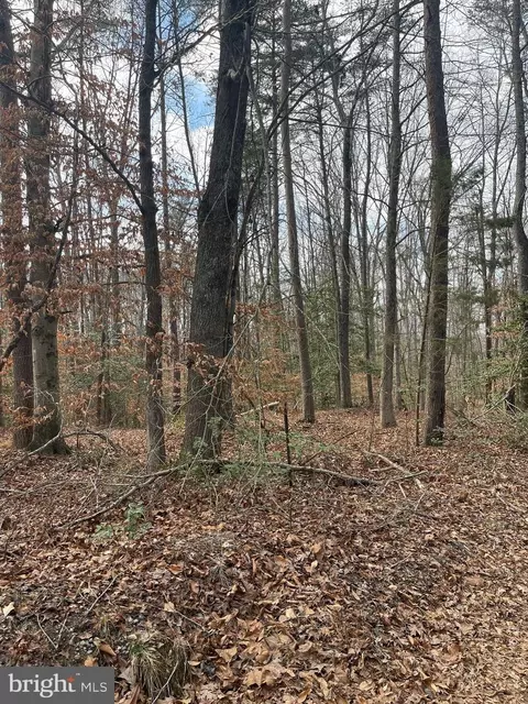 6317 Little Acres Ln, Woodford, VA 22580