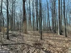 7120 Dominique Dr, Spotsylvania, VA 22551