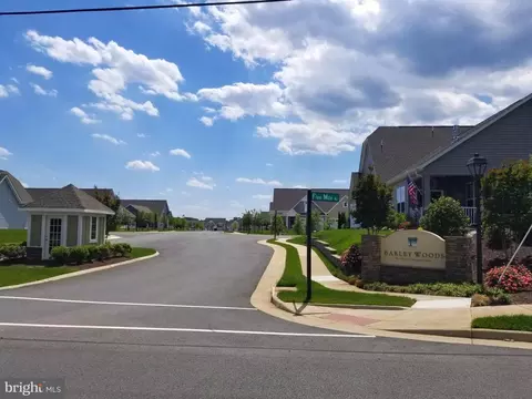 12331 Ruby Red Dr, Fredericksburg, VA 22407 photo 43