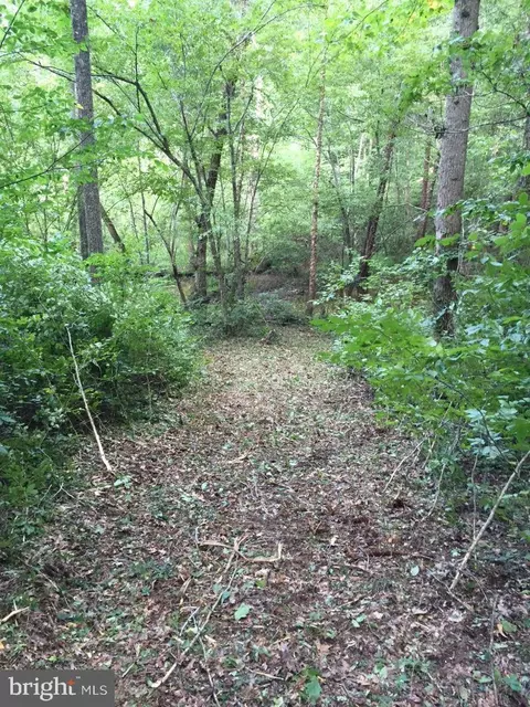 Assigned On Request, Partlow, VA 22534 photo 12