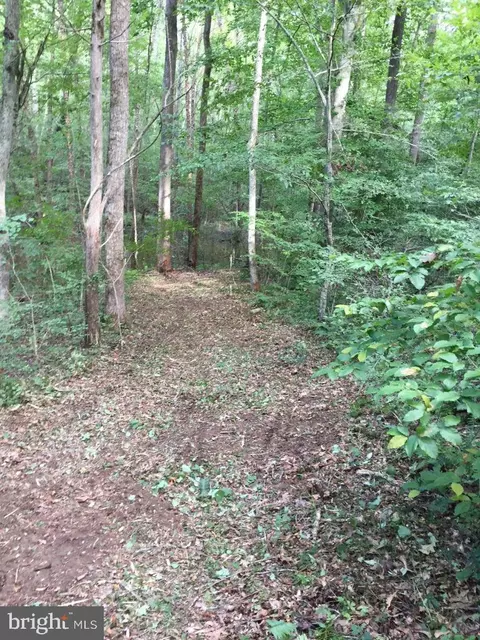 Assigned On Request, Partlow, VA 22534 photo 13