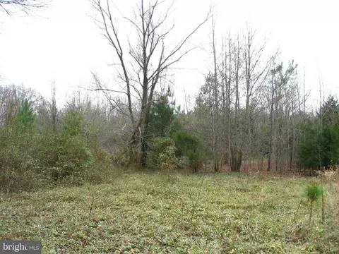 Morris Road, Thornburg, VA 22565