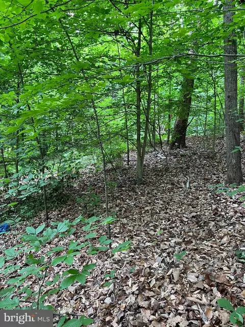 Quarry, Stafford, VA 22554