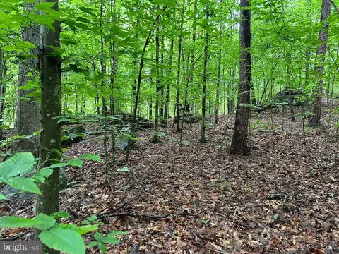 Bear Mountain Ln, Fredericksburg, VA 22406