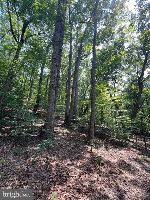 6 George Mason Rd, Stafford, VA 22554