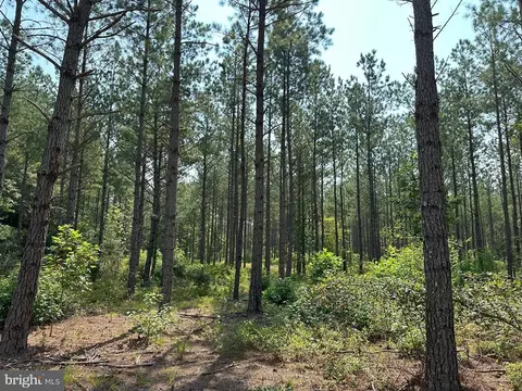 Plank Road, Courtland, VA 23837