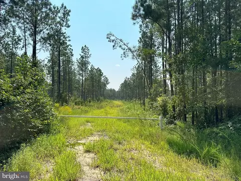 Plank Road, Courtland, VA 23837