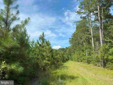 Black Creek Road, Franklin, VA 23851