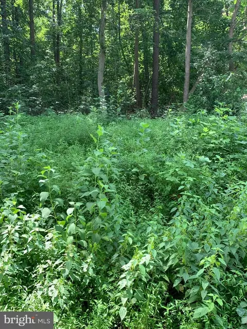 72 American Dr, Montross, VA 22520