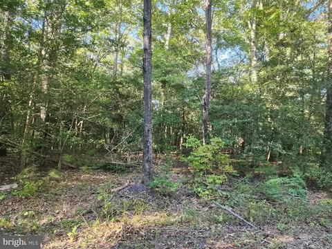 Cedar Lane, Colonial Beach, VA 22443 photo 6