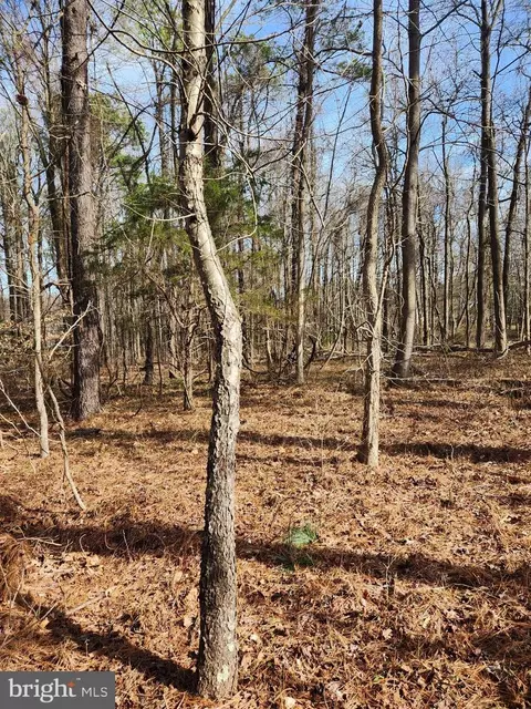 lot69 Plantation, Montross, VA 22520