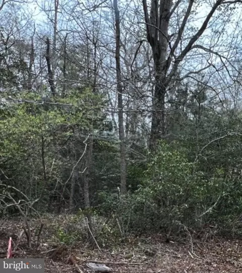 13 Poplar Lane, Colonial Beach, VA 22443