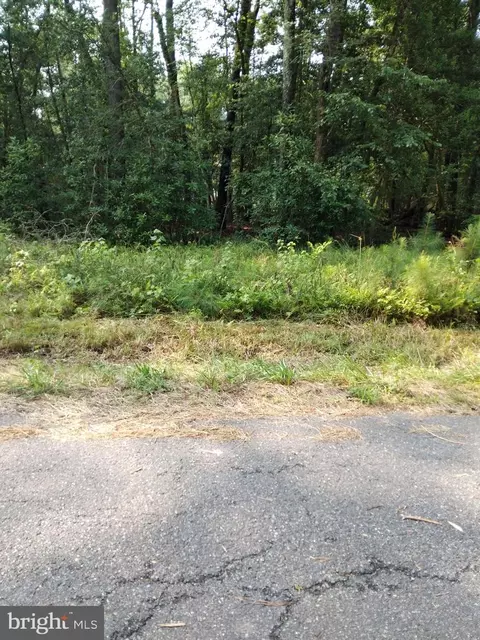 Lake Drive, Colonial Beach, VA 22443