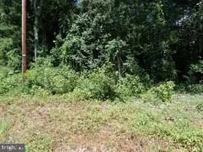 Clearview Drive, Colonial Beach, VA 22443