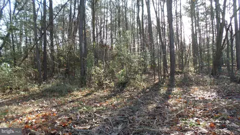 14 Th St, Colonial Beach, VA 22443