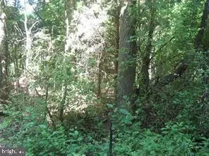 Elm Drive, Colonial Beach, VA 22443