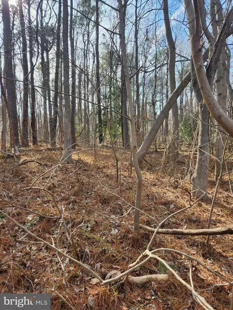 lot104 American Dr, Montross, VA 22520