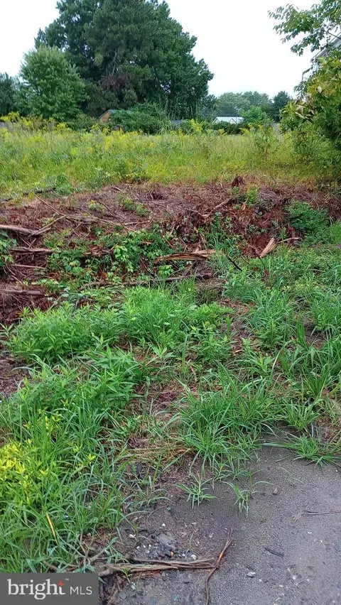 Latane Drive, Colonial Beach, VA 22443