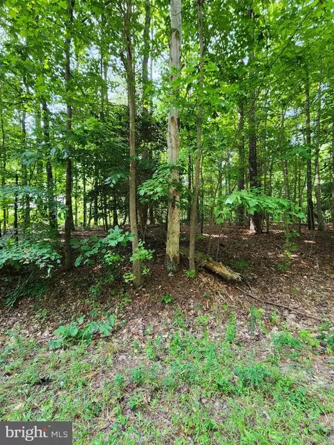 lot11 S Independence Dr, Montross, VA 22520