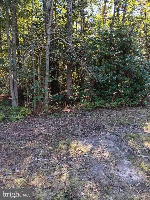 Pine Street, Colonial Beach, VA 22443