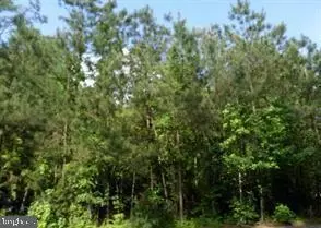 14 Street Ests, Colonial Beach, VA 22443
