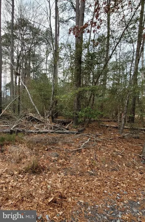 lot40 Wildwood Rd, Colonial Beach, VA 22443
