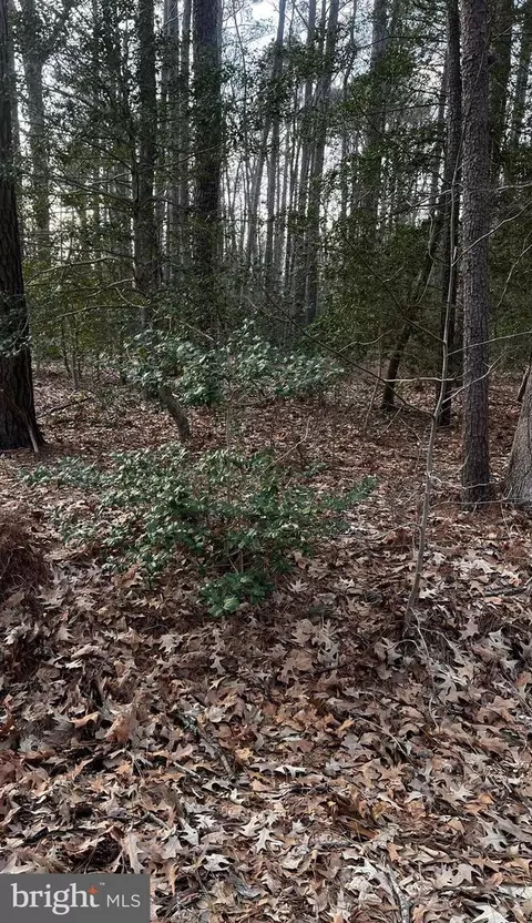 lot33 Richardson St, Hague, VA 22469