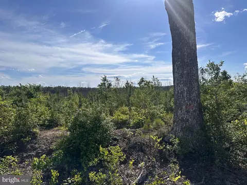 0 Mt Holly Rd, Montross, VA 22520