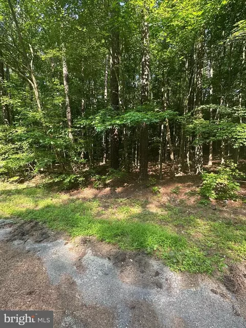 Declaration Drive, Montross, VA 22520