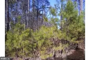 lot Apt 8 -14th Street Estates St, Colonial Beach, VA 22443