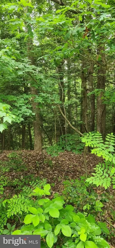 lot68 Travelers Cir, Montross, VA 22520