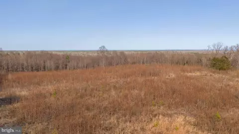 Trigger Lane, Colonial Beach, VA 22443 photo 19