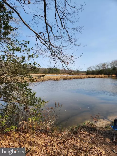 Trigger Lane, Colonial Beach, VA 22443 photo 20