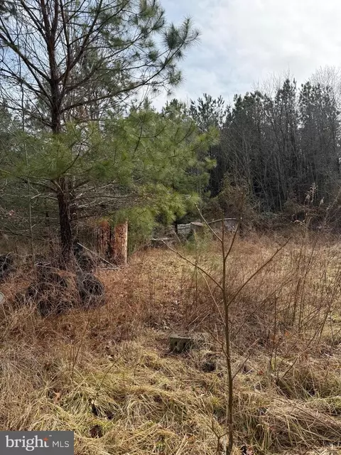 Long Point Road, Hague, VA 22469