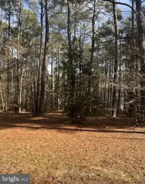 S Glebe Road, Montross, VA 22520