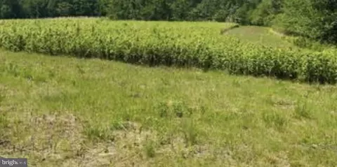 lot11 Kings Hwy, Montross, VA 22520
