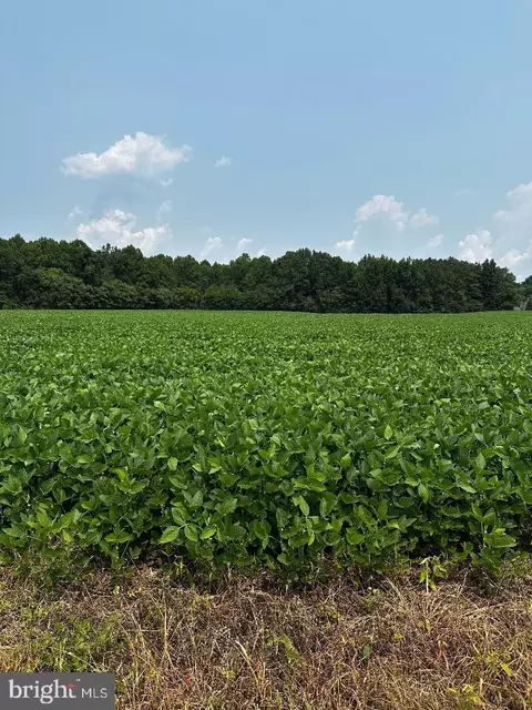 Tax Id 36 19 Zacata Road, Montross, VA 22520