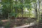 Trigger Drive, Colonial Beach, VA 22443 photo 5