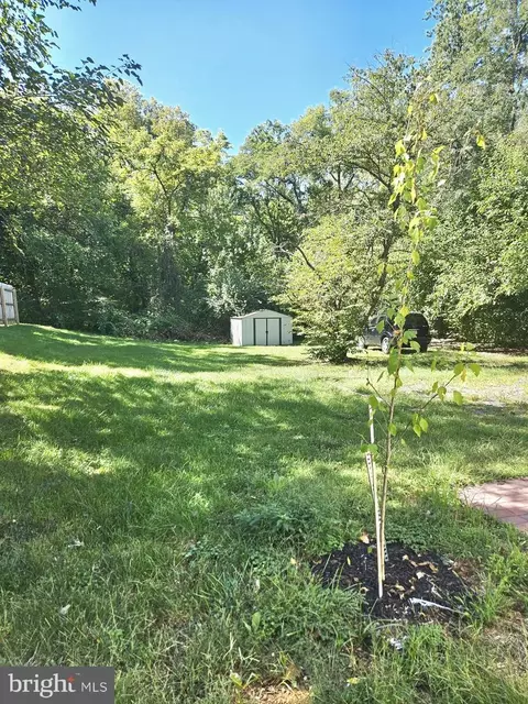 915 E Cork St, Winchester, VA 22601 photo 44