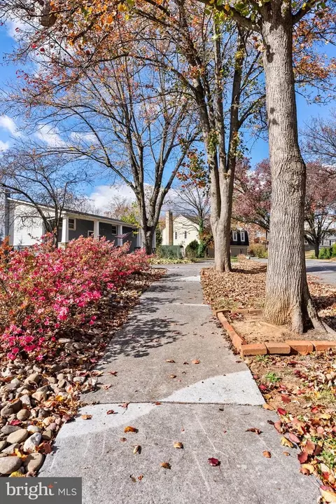 553 Bellview Ave, Winchester, VA 22601 photo 4