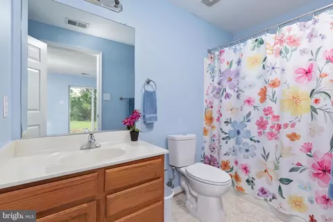 Bath - 922 Wayne Dr, Winchester, VA 22601 photo 5 of 5