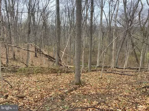 0 Sycamore Ct, Royal, VA 22630
