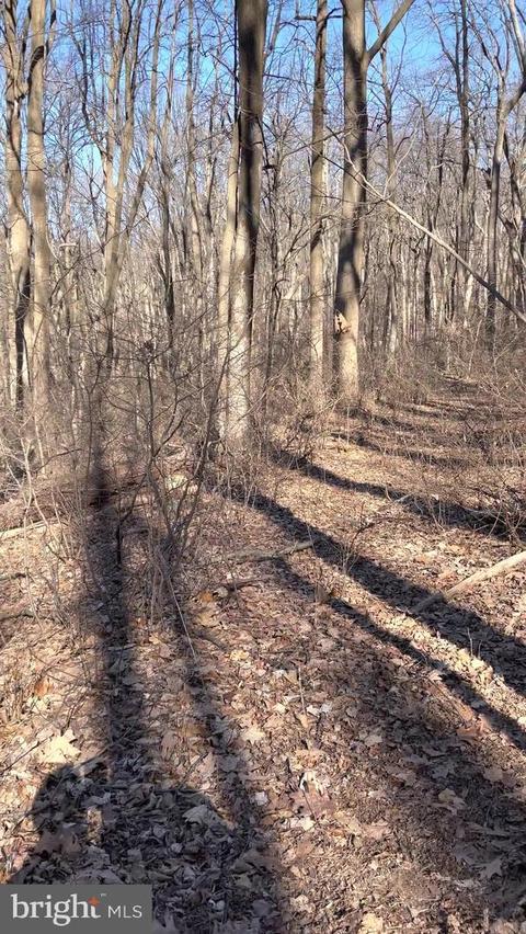 Moonshiner Way, Linden, VA 22642
